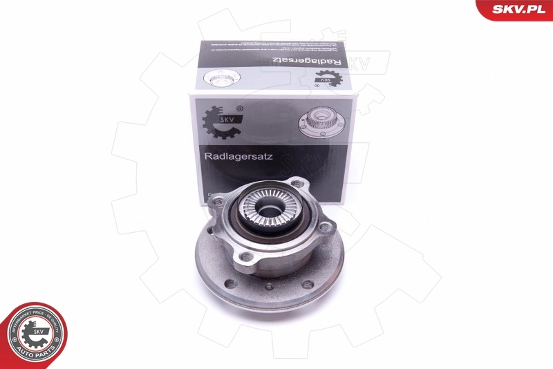 Wheel Bearing Kit